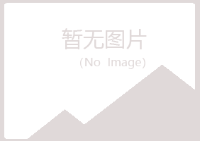 德令哈紫山水泥有限公司